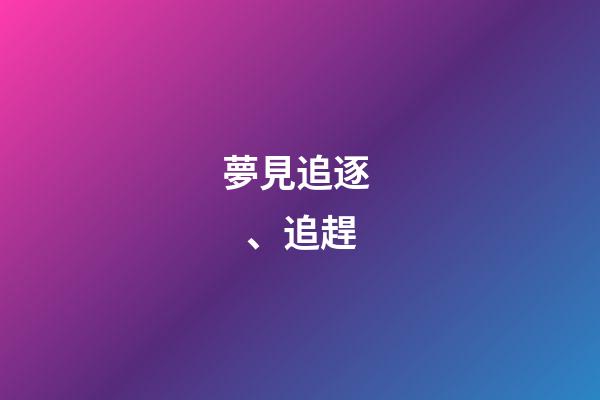 夢見追逐、追趕